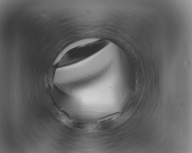 X0000073980096200609181728