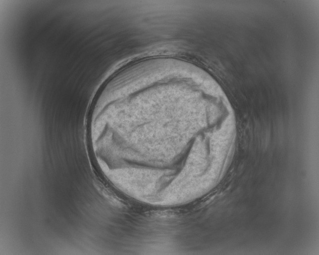 X0000073980100200609181727