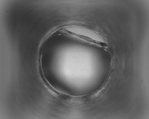 X0000073980101200609181727