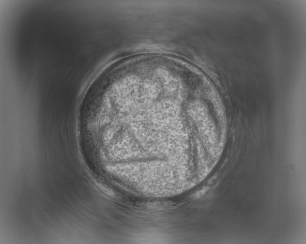 X0000073980103200609181727