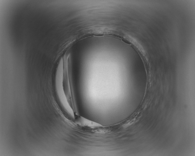 X0000073980105200609181727