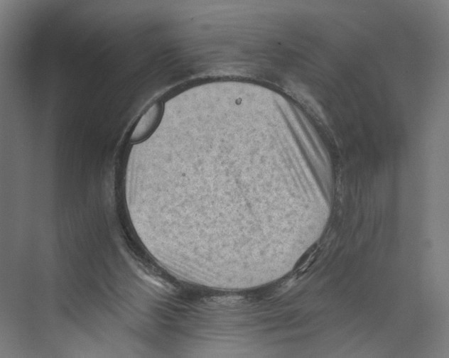 X0000073980108200609181727