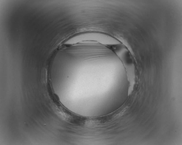 X0000073980109200609181727