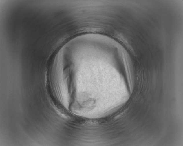 X0000073980110200609181727