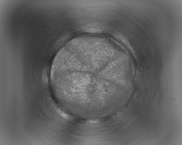 X0000073980114200609181726