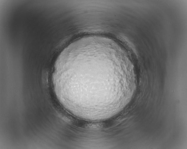 X0000073980115200609181726