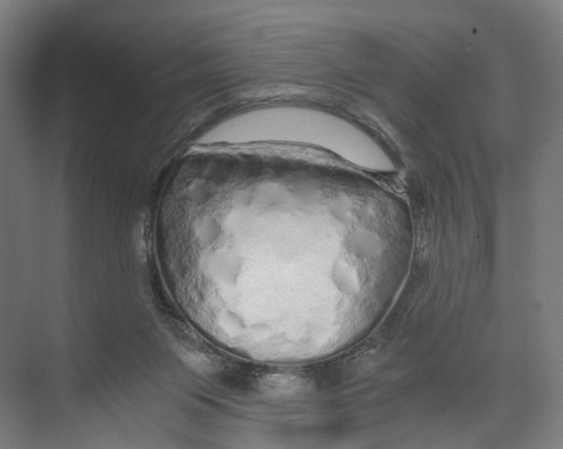 X0000073980119200609181726