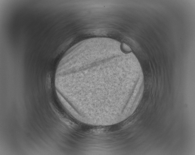 X0000073980120200609181726