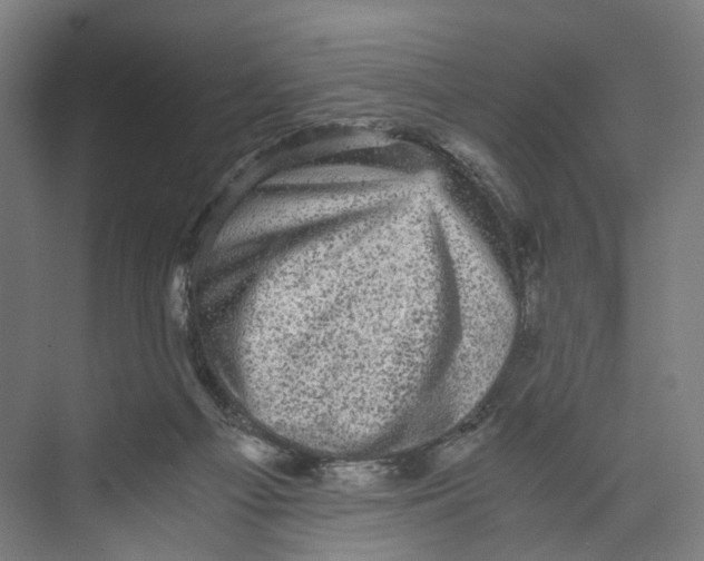 X0000073980121200609181726