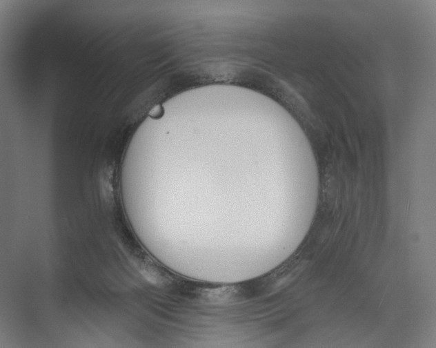 X0000073980122200609181726