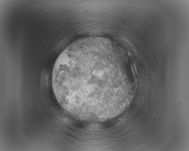 X0000073980123200609181726