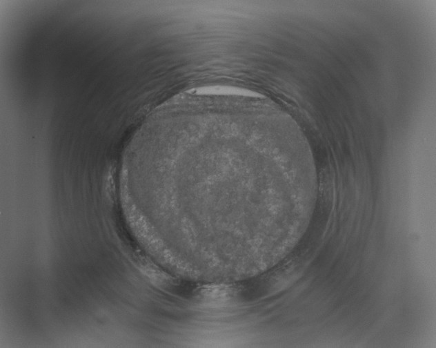 X0000073980127200609181726