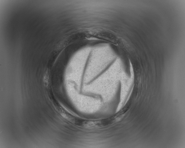 X0000073980129200609181726