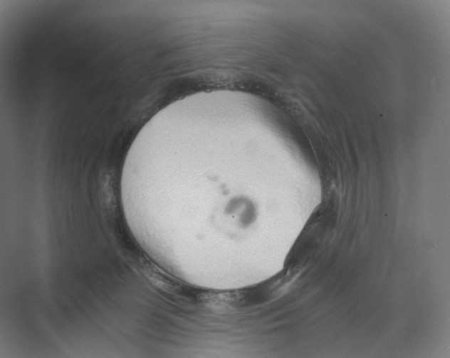 X0000073980131200609181726