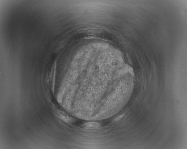 X0000073980137200609181726