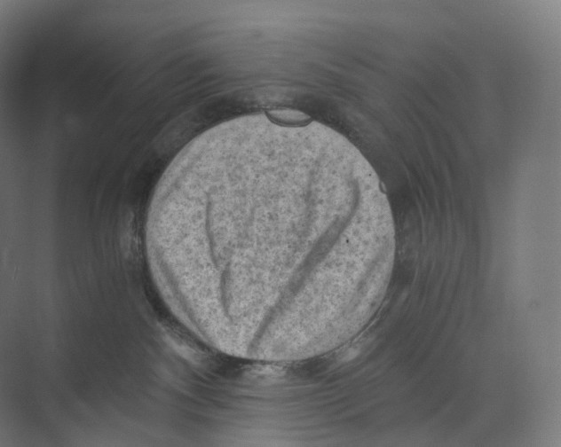 X0000073980140200609181726