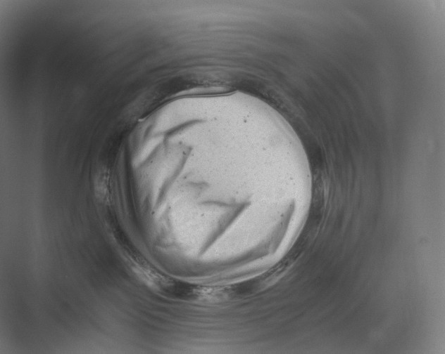 X0000073980141200609181726