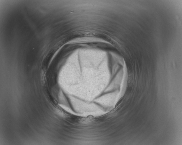 X0000073980142200609181726