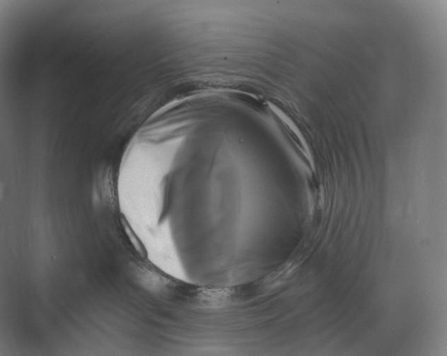 X0000073980143200609181726