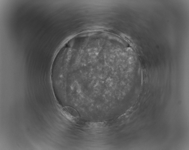 X0000073980147200609181725