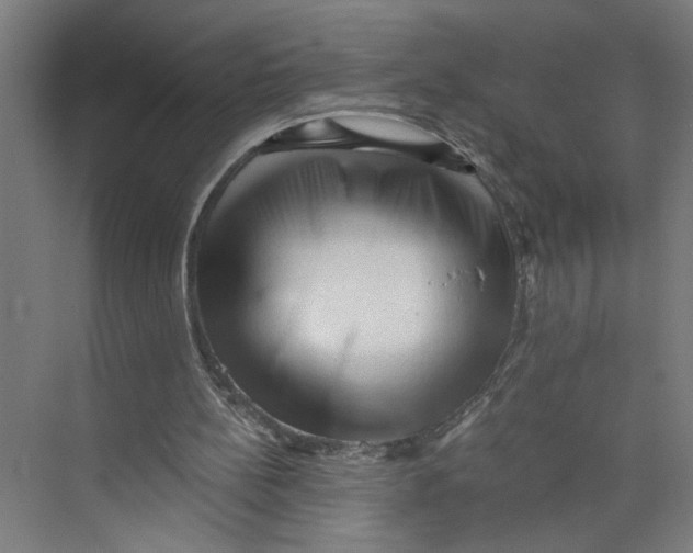 X0000073980148200609181725