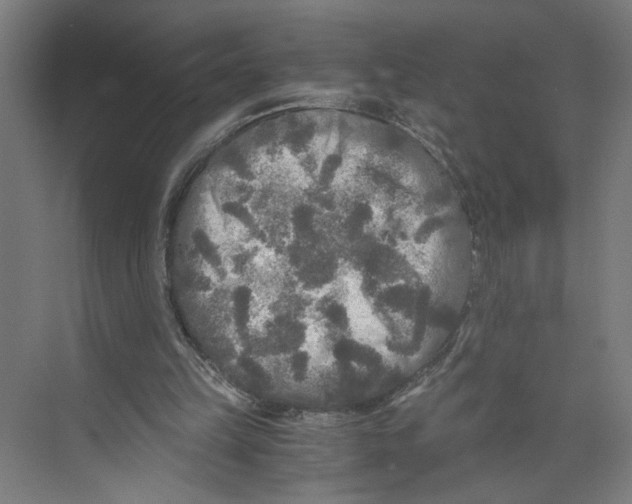 X0000073980149200609181725