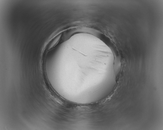 X0000073980150200609181725