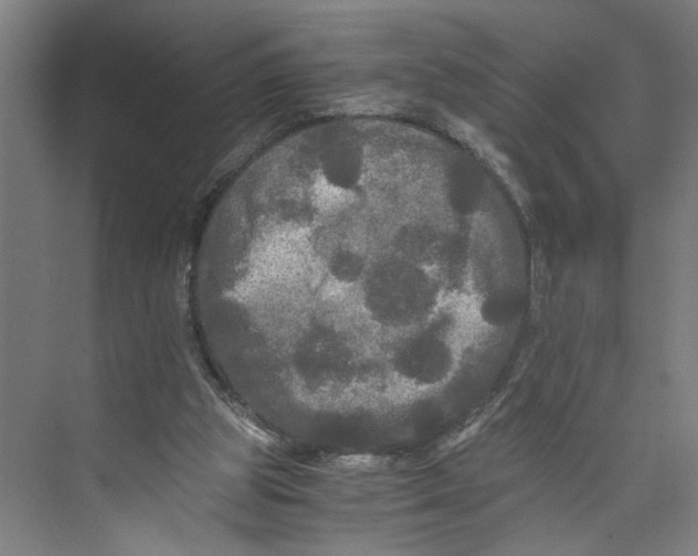 X0000073980153200609181725