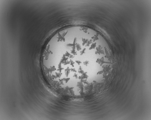 X0000073980155200609181725