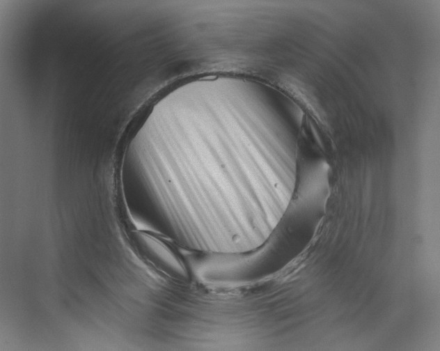 X0000073980156200609181725