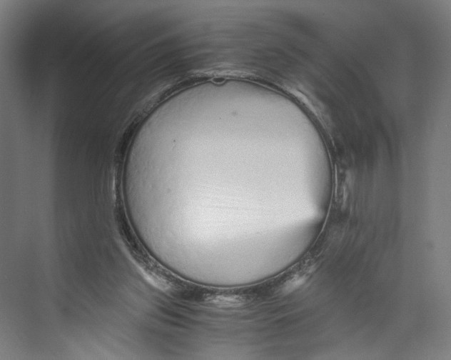 X0000073980157200609181725