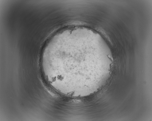 X0000073980159200609181725