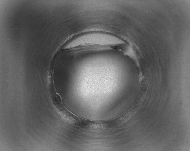 X0000073980160200609181725