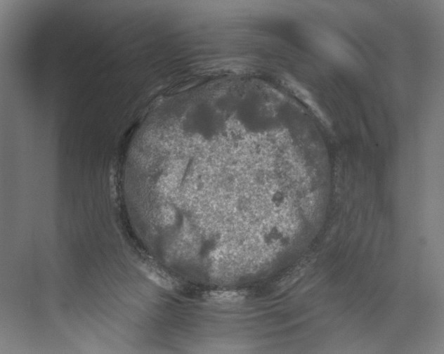 X0000073980161200609181725