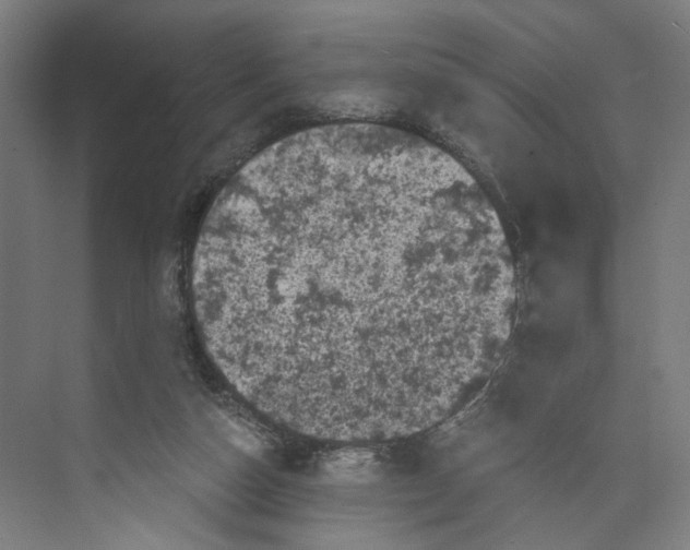 X0000073980162200609181725