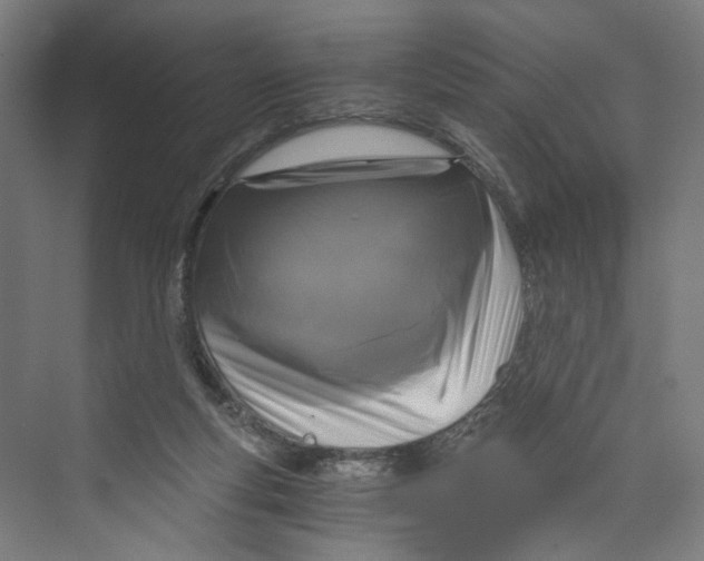 X0000073980163200609181725