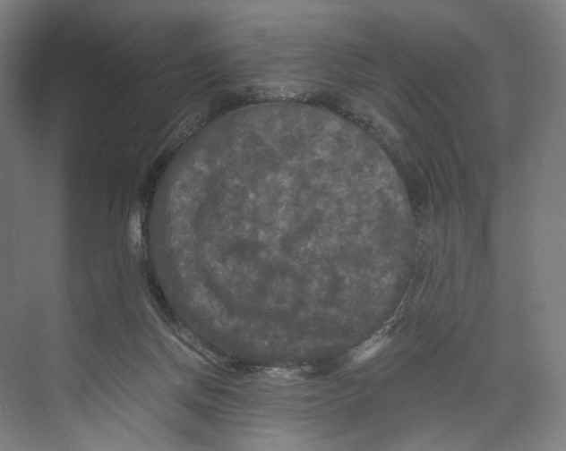 X0000073980166200609181726