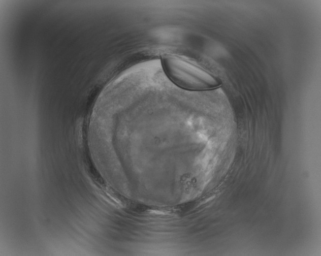 X0000073980167200609181726