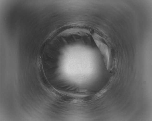 X0000073980168200609181726