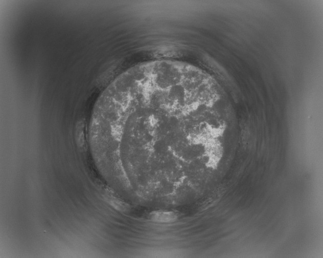 X0000073980169200609181726