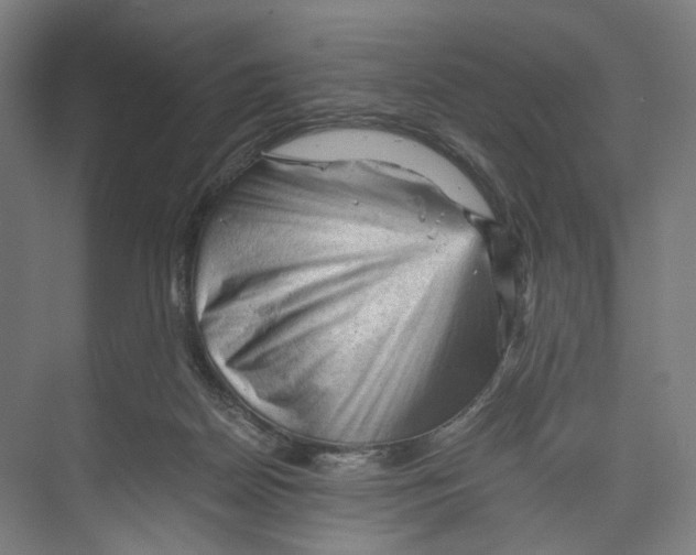 X0000073980170200609181726