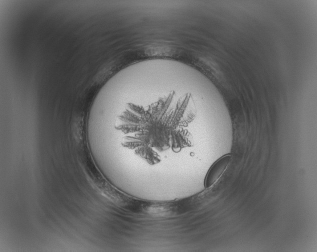 X0000073980171200609181726