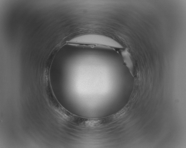 X0000073980172200609181726