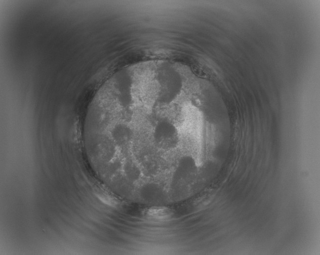 X0000073980173200609181726