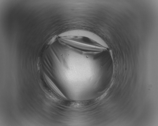 X0000073980174200609181726