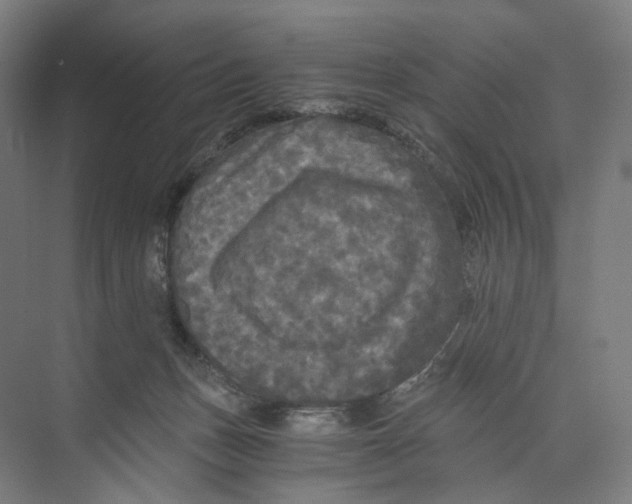 X0000073980175200609181726