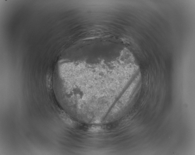 X0000073980177200609181726