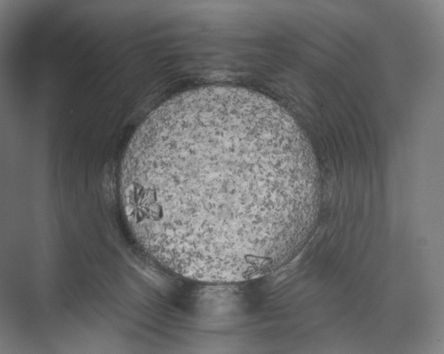 X0000073980179200609181726