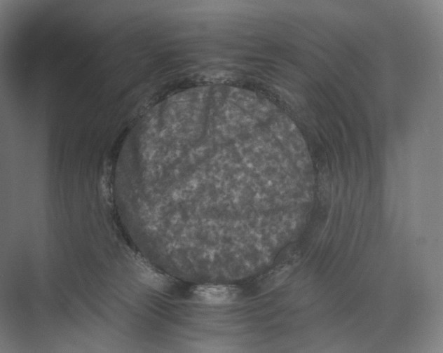 X0000073980181200609181726