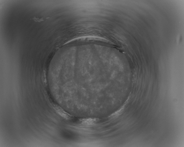 X0000073980182200609181726